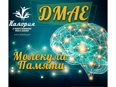 DMAE - молекула памяти и инструмент продуктивности мозга.