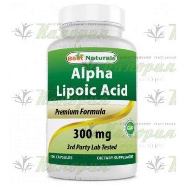 Alpha Lipoic Acid 300 mg - 120 caps